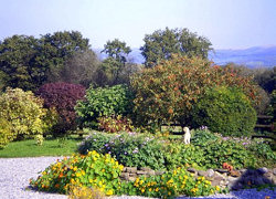 View of quiet garden from the holiday cottage, click for larger image